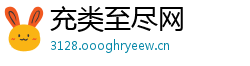 充类至尽网